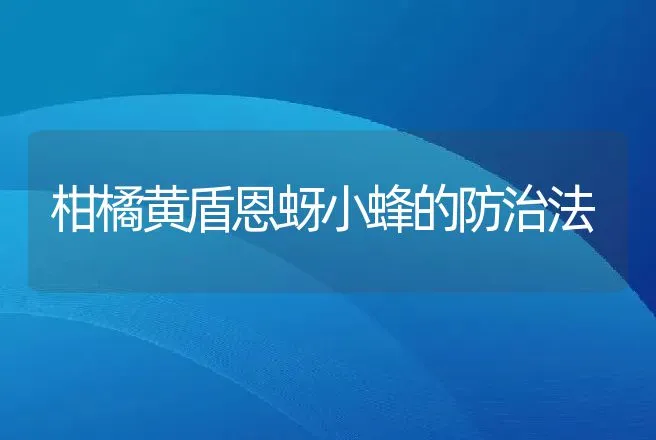 柑橘黄盾恩蚜小蜂的防治法 | 动物养殖