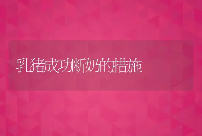 乳猪成功断奶的措施 | 动物养殖