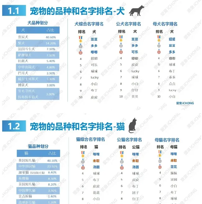 犬猫常见病都在这里了 | 宠物狗病虫害防治