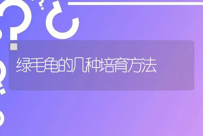 绿毛龟的几种培育方法 | 动物养殖