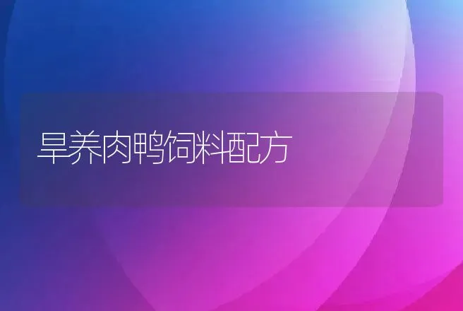 旱养肉鸭饲料配方 | 动物养殖