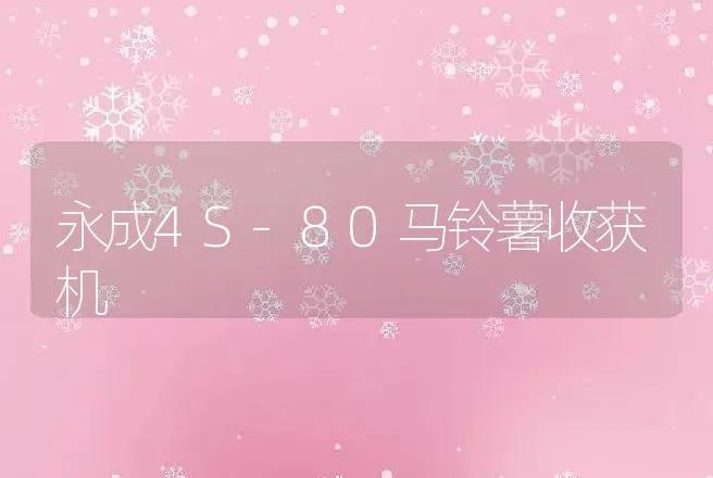 永成4S-80马铃薯收获机 | 养殖