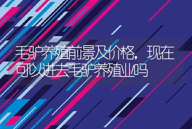 毛驴养殖前景及价格，现在可以进去毛驴养殖业吗 | 养殖致富