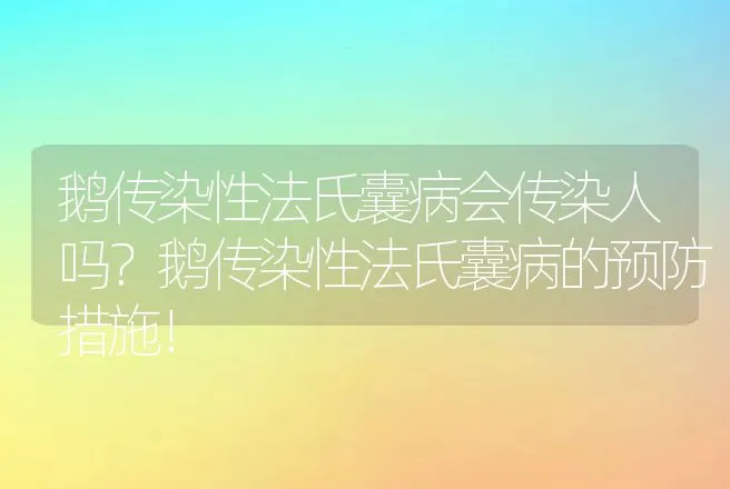 鹅传染性法氏囊病会传染人吗？鹅传染性法氏囊病的预防措施！ | 兽医知识大全