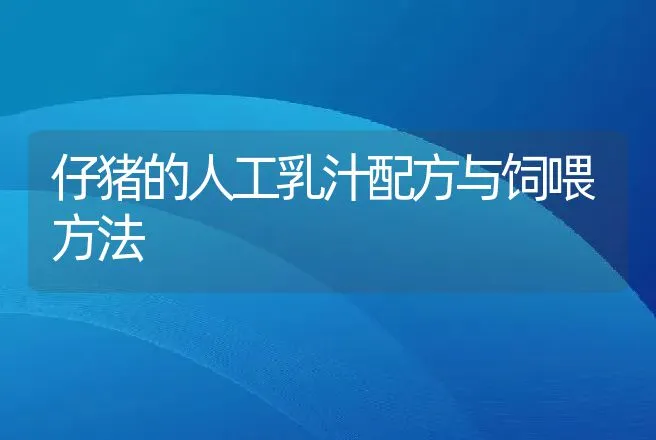 仔猪的人工乳汁配方与饲喂方法 | 动物养殖