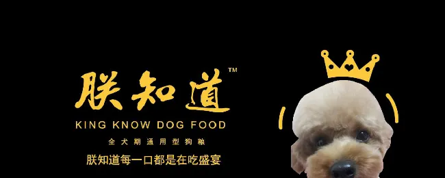 朕知道狗粮创始人赵文强：民以食为天，狗也是！ | 宠物新闻资讯