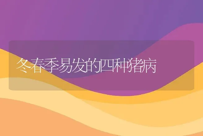 冬春季易发的四种猪病 | 动物养殖