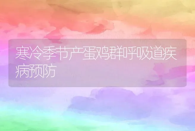 寒冷季节产蛋鸡群呼吸道疾病预防 | 动物养殖