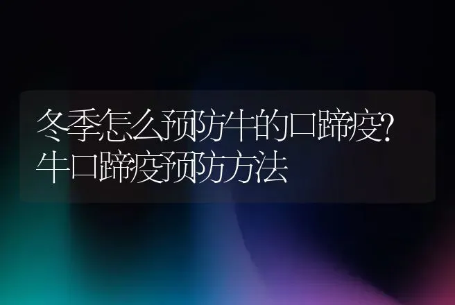 冬季怎么预防牛的口蹄疫?牛口蹄疫预防方法 | 兽医知识大全