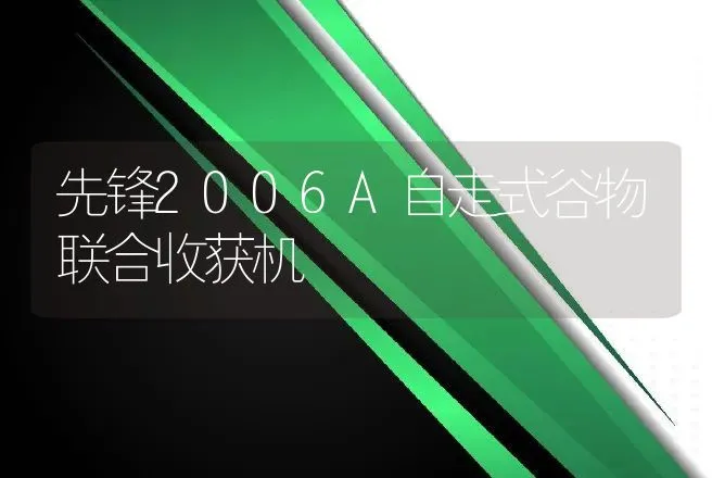 先锋2006A自走式谷物联合收获机 | 养殖