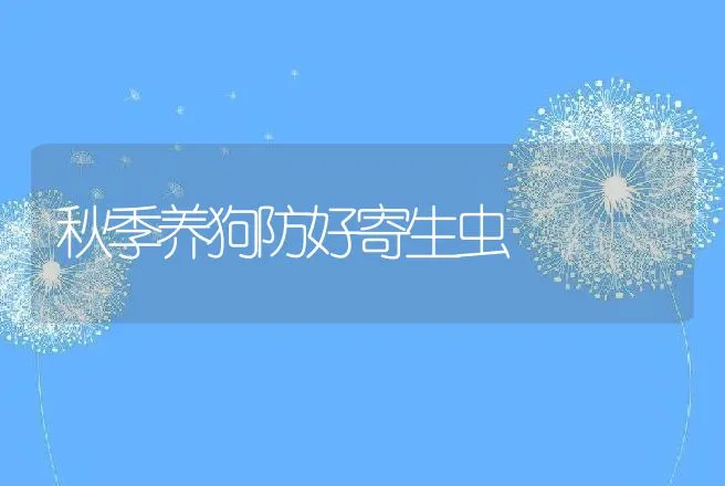 秋季养狗防好寄生虫 | 动物养殖