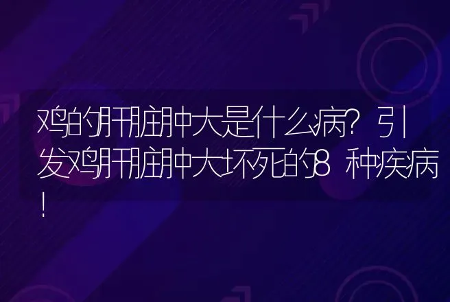 鸡的肝脏肿大是什么病？引发鸡肝脏肿大坏死的8种疾病！ | 兽医知识大全