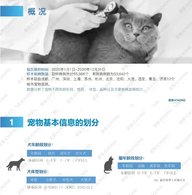 犬猫常见病都在这里了 | 宠物狗病虫害防治