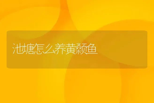 池塘怎么养黄颡鱼 | 动物养殖