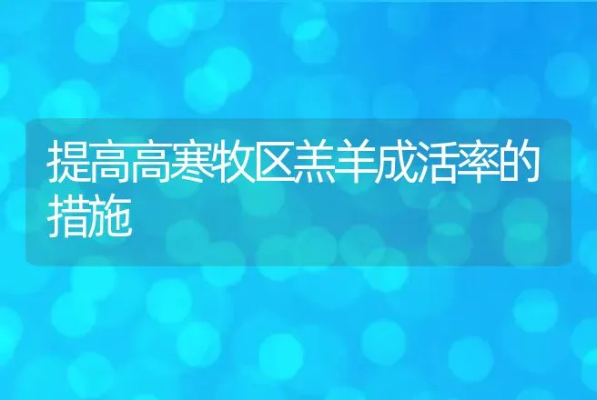 提高高寒牧区羔羊成活率的措施 | 动物养殖