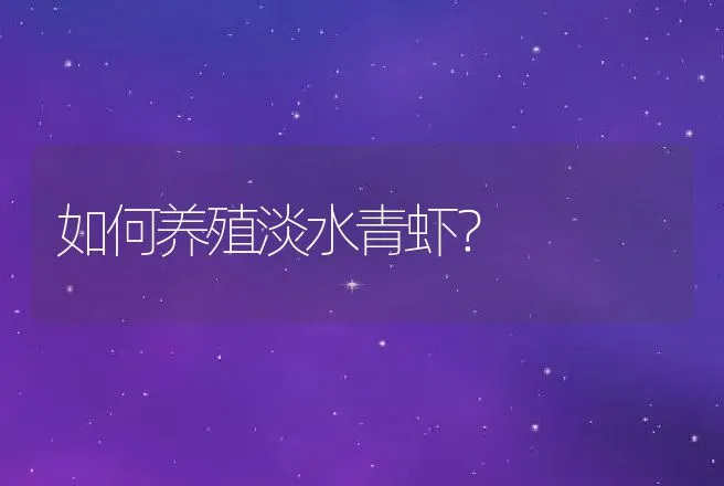 如何养殖淡水青虾？ | 动物养殖