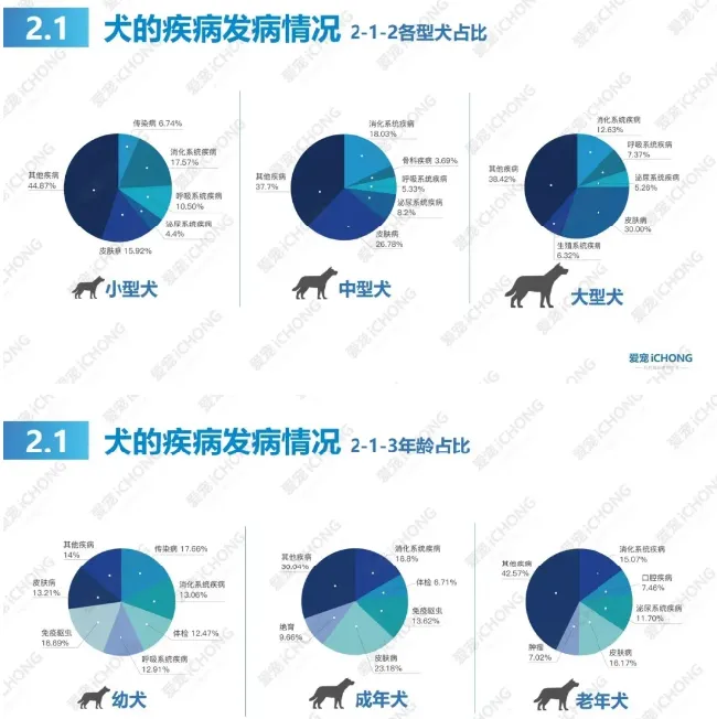 犬猫常见病都在这里了 | 宠物狗病虫害防治