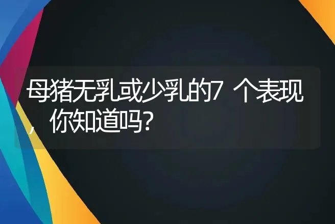 母猪无乳或少乳的7个表现，你知道吗？ | 兽医知识大全