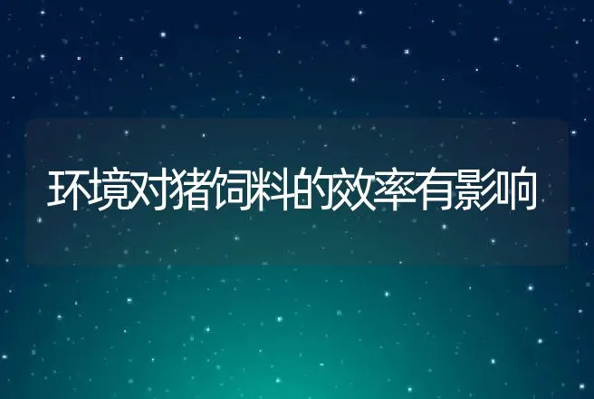 环境对猪饲料的效率有影响 | 动物养殖