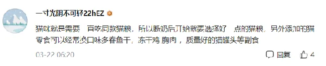 你喂了好几年的喂猫方法，真的错了！从小这么喂才是喵皇 | 宠物训练技巧