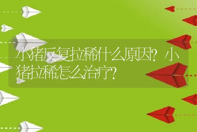 小猪反复拉稀什么原因？小猪拉稀怎么治疗？ | 兽医知识大全