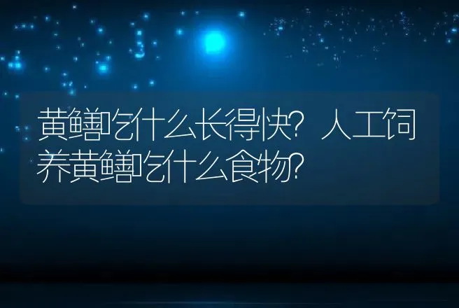 黄鳝吃什么长得快？人工饲养黄鳝吃什么食物？ | 水产知识