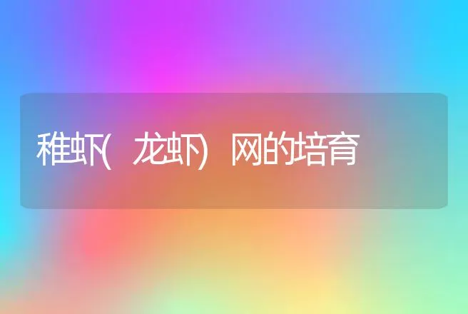 稚虾(龙虾)网的培育 | 动物养殖