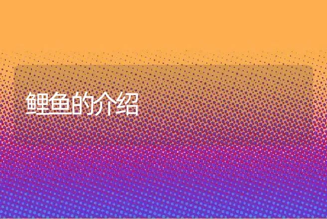 鲤鱼的介绍 | 动物养殖