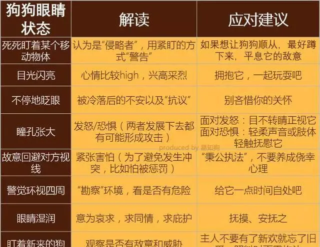 学会狗语言，读懂你的狗——狗狗的喜怒哀乐不用猜 | 宠物狗饲养