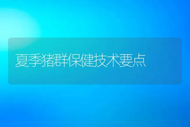 夏季猪群保健技术要点 | 动物养殖