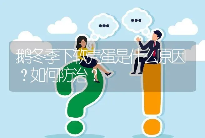 鹅冬季下软壳蛋是什么原因？如何防治？ | 家禽养殖