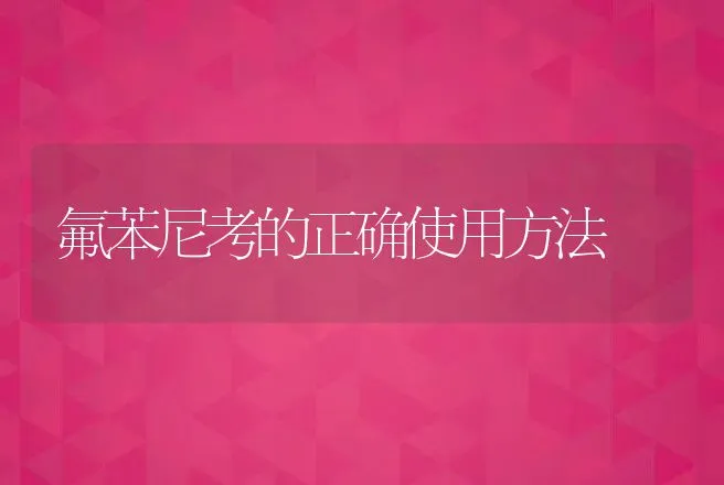 氟苯尼考的正确使用方法 | 兽医知识大全