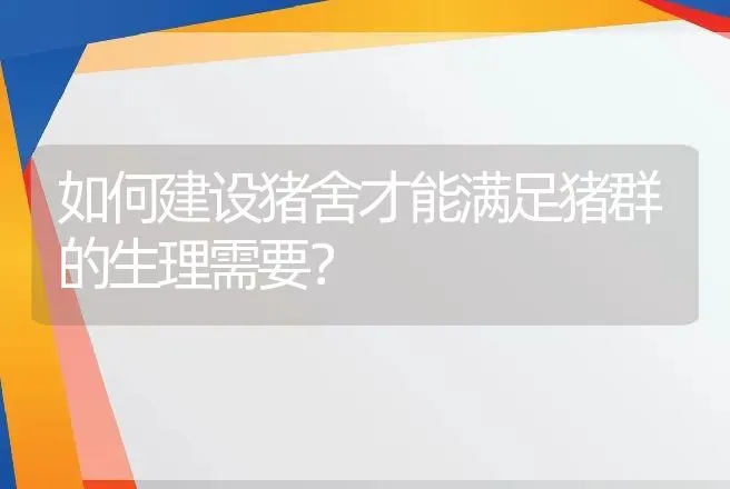 如何建设猪舍才能满足猪群的生理需要？ | 家畜养殖