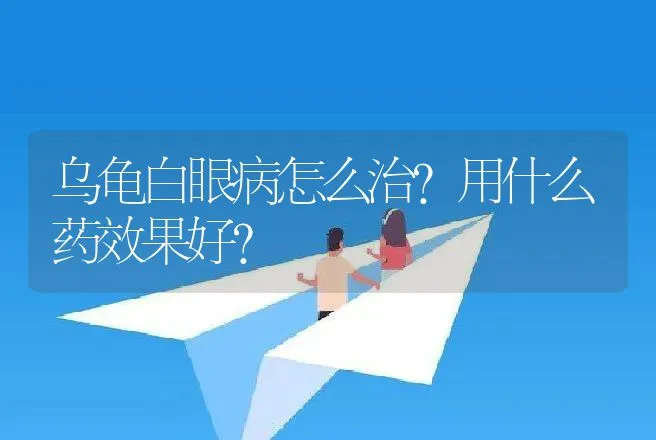 乌龟白眼病怎么治？用什么药效果好？ | 兽医知识大全