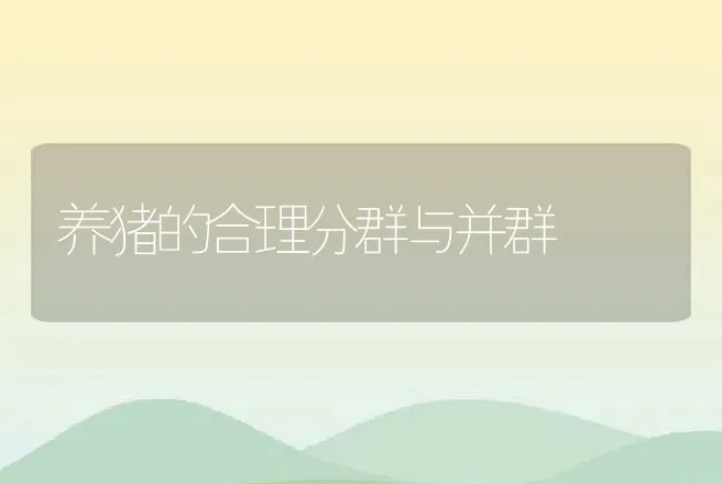 养猪的合理分群与并群 | 动物养殖