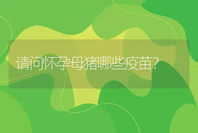 请问怀孕母猪哪些疫苗？ | 动物养殖