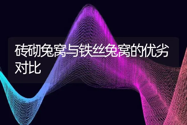 砖砌兔窝与铁丝兔窝的优劣对比 | 动物养殖