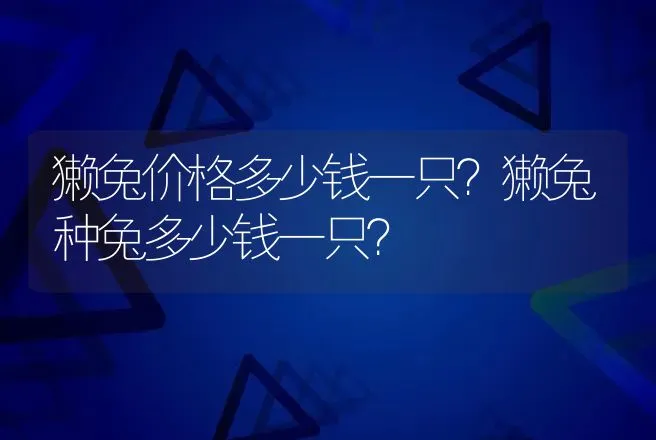 獭兔价格多少钱一只？獭兔种兔多少钱一只？ | 家禽养殖