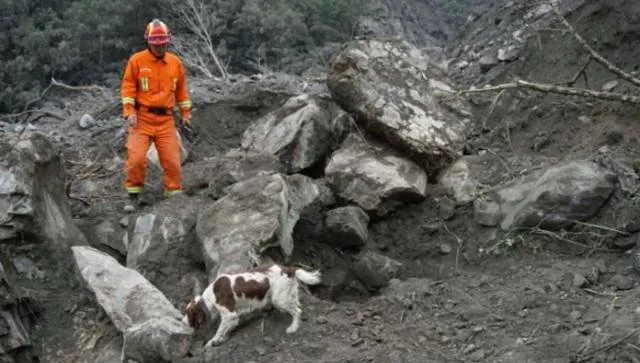 四川茂县山体垮塌事件现场 一线的消防人员和搜救犬辛苦了 | 宠物新闻资讯