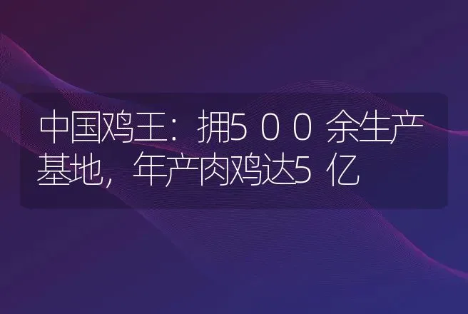 中国鸡王：拥500余生产基地，年产肉鸡达5亿 | 养殖致富