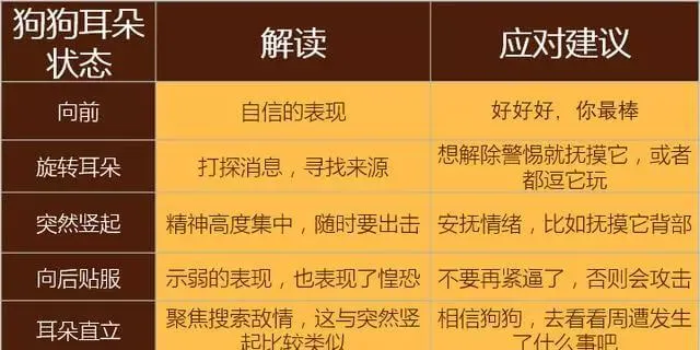 学会狗语言，读懂你的狗——狗狗的喜怒哀乐不用猜 | 宠物狗饲养