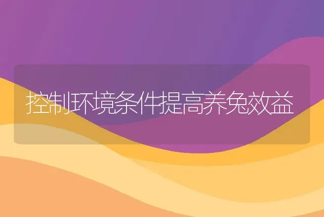 控制环境条件提高养兔效益 | 动物养殖