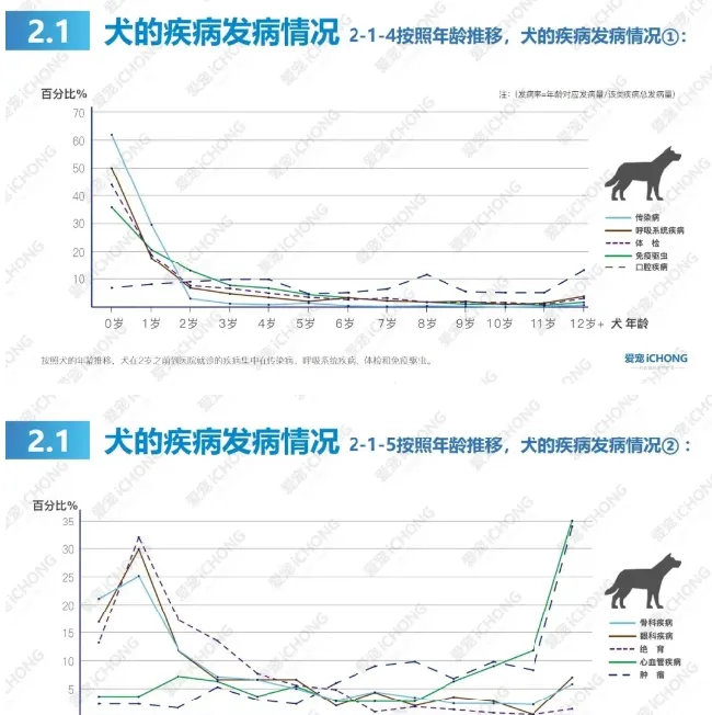 犬猫常见病都在这里了 | 宠物狗病虫害防治