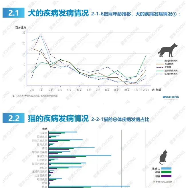 犬猫常见病都在这里了 | 宠物狗病虫害防治