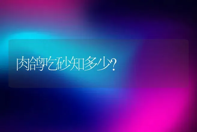 肉鸽吃砂知多少？ | 家禽养殖