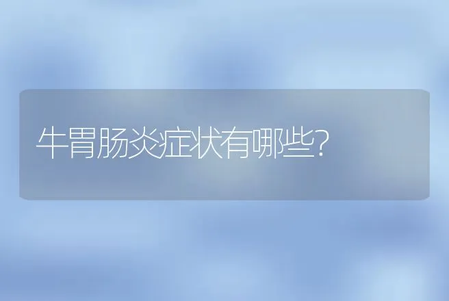 牛胃肠炎症状有哪些？ | 家畜养殖