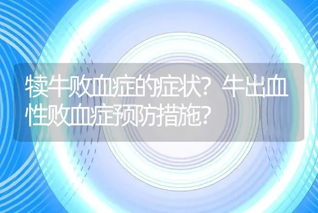 犊牛败血症的症状？牛出血性败血症预防措施？ | 兽医知识大全