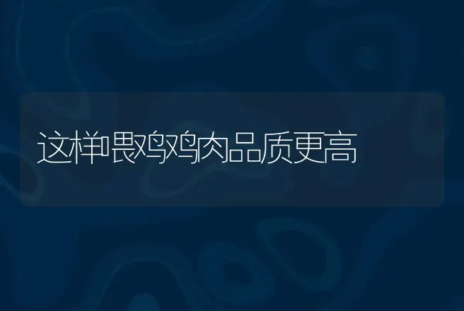 这样喂鸡鸡肉品质更高 | 动物养殖