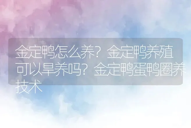 金定鸭怎么养？金定鸭养殖可以旱养吗？金定鸭蛋鸭圈养技术 | 家禽养殖