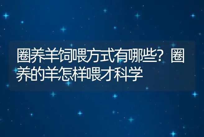 圈养羊饲喂方式有哪些？圈养的羊怎样喂才科学 | 家畜养殖